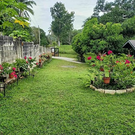 Balai Mariacaria Pension House Guindulman Exteriér fotografie